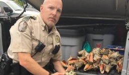 Đi biển bắt ốc về làm quà, người phụ nữ ngơ ngác khi bị cảnh sát phạt tiền rồi tống giam nửa tháng