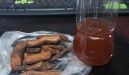 Người đàn ông ở Nghệ An tử vong sau khi uống rượu ngâm cây lá ngón