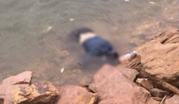 Đi đánh cá phát hiện xác một phụ nữ nổi trên hồ