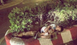 Hình ảnh cậu bé bán vé số nằm ngủ ngon lành cạnh chú chó nhỏ trên dải phân cách khiến nhiều người thương cảm