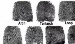 Dấu vân tay có thay đổi sau khi chúng ta chết không? Câu trả lời khiến ai cũng bất ngờ