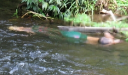 Đi tìm em, 2 anh trai phát hiện em chết cạnh bờ suối, nghi ngờ bị sát hại