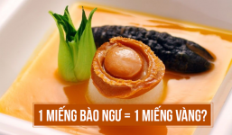 Bào ngư có giá tiền triệu nhà giàu Việt đua nhau săn lùng mua thực sự bổ dưỡng cỡ nào?