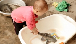 “Cháu nó còn nhỏ, biết gì đâu”: Câu nói dậy sóng mạng xã hội Việt, ai cũng muốn góp ý kiến