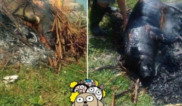 Góc ẩm thực: Xuất hiện món 'lợn quay bóng đêm' phá kỷ lục hạng mục đồ ăn quá lửa trên MXH