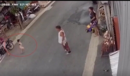 Người lớn bất cẩn để bé trai đột ngột lao sang đường bị xe máy tông ngã văng xa