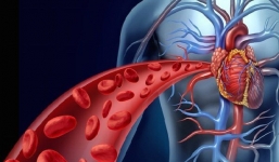 8 loại thực phẩm cải thiện lưu thông máu, bạn nên bổ sung hàng ngày hoặc khi cần