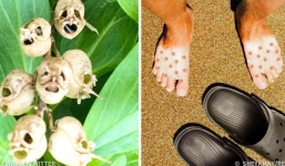 Những khoảnh khắc trùng hợp hiếm gặp với tỷ lệ một phần triệu