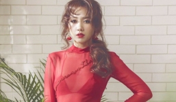 Sự thật rất bất ngờ về Hari Won và gia đình