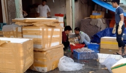 Hà Nội: Phát hiện hơn 300kg bạch tuộc tẩy trắng bằng chất cấm