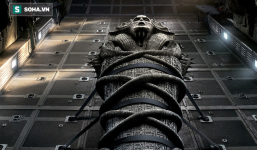 Vừa khai quật quan tài đen 30 tấn ở Ai Cập xong, công chúng thỉnh cầu ngay việc kỳ lạ