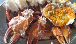 Nghén bầu thèm ăn đến phát điên, dâu trẻ sợ mẹ chồng mắng nên đành nhịn, mua được 1kg cua thì em chồng ăn hết 2/3