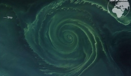 NASA phát hiện vòng xoáy khổng lồ trên biển Baltic - tưởnag bình thường nhưng hóa ra là 'vùng tử thần'