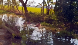 Đề nghị truy tố thiếu nữ 15 tuổi lập mưu sát hại bạn, cướp xe máy