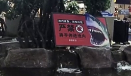 Bé gái 6 tuổi bị cá mập tấn công ở trung tâm thương mại Trung Quốc