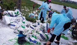 Hơn 10 nghìn con gia cầm nhiễm vi rút, dịch cúm cực độc tái phát tại Hải Phòng