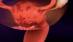 Vô sinh, hiếm muộn tăng nhanh gấp 20 lần so với trước: Chuyên gia 'chỉ mặt' 3 nguyên nhân