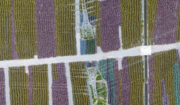 Những 'nghĩa trang xe đạp' chi chít đến nghẹt thở chỉ có ở Trung Quốc