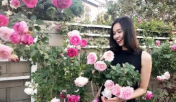 Khu vườn ngọt ngào với hoa hồng và cây trái sai trĩu trên đất Mỹ của Hoa hậu Dương Mỹ Linh