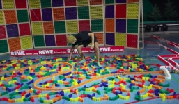 Xếp gần 600.000 mảnh domino bị phá hủy trong nháy mắt bởi… 1 con ruồi