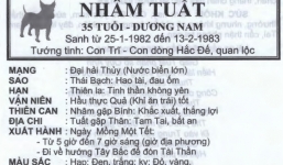 Đỗ Hoàng Anh Khoa tuổi Nhâm Tuất 1982 lấy vợ tuổi nào hợp nhất?