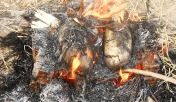 Nướng vịt làm cháy đồng, người nông dân phải bồi thường hơn 88 triệu