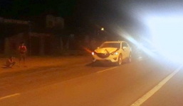 Chủ nhân không dám đến nhận bò bị tông chết vì sợ nộp phạt