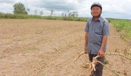 Chính quyền đòi phạt người quỳ lạy trước nhà chủ tịch huyện