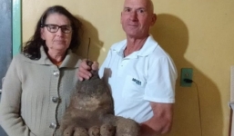 Sửng sốt trước củ khoai tây nặng 8kg, có hình dáng giống hệt bàn chân người