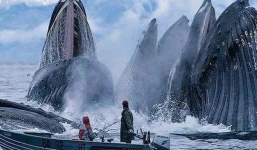 Chùm ảnh đẹp: 25 khoảnh khắc khiến bạn nhận ra rằng thế giới này còn có rất nhiều điều kì diệu