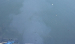 Hàng chục cống xả thải trực tiếp ra Hồ Tây: Phòng Cảnh sát Môi trường Hà Nội thông tin chính thức