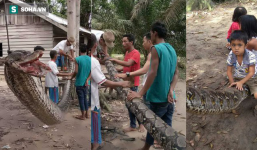 'Thạch Sanh Indonesia' tử chiến với mãng xà gần 8m: Chiến thắng nhưng suýt mất 1 tay