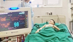 Vô tình đụng tổ ong vò vẽ, bé trai 11 tuổi nguy kịch