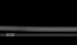 Thật khó tin, các nhà khoa học đã đo được tốc độ của... cái chết