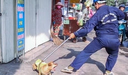 Trung tâm Sài Gòn ra quân bắt chó thả rông: 5 con chó bị 'tóm cổ', chủ nhân bị phạt ít nhất 1,4 triệu đồng