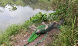 Hoảng hốt bỏ chạy khi hấy thi thể nam giới nổi ở rạch