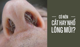 Thói quen cắt, nhổ lông mũi có hại hay vô hại: BS Mỹ giải thích cực chuẩn, ai cũng phục