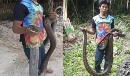24h qua ảnh: Người dân bắt được rắn hổ mang khổng lồ ở Thái Lan