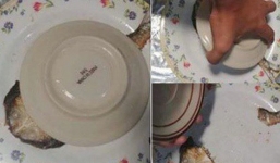 Được bạn cùng phòng phần nguyên con cá, thanh niên hí hửng xuống ăn và cái kết khiến nhiều người bật cười