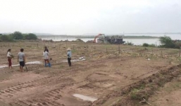 Hà Nội: Vườn nhãn rộng 3.500m2 của người dân bị đối tượng lạ san phẳng