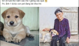 Cháu gái khoe ảnh ngoại thân thiết bên chú pet nhưng cộng đồng mạng chỉ cười ngất bởi dáng ngủ siêu lầy lội của chú chó cưng