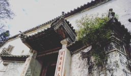 Tại sao dinh thự 'Vua Mèo' được xây dựng trên quả đồi hình con rùa?