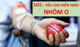Dự trữ nhóm máu O đang cạn, Viện Huyết học khẩn thiết kêu gọi cộng đồng hiến máu