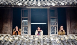 Tranh chấp Dinh Nhà Vương: Cái lý của người Mèo