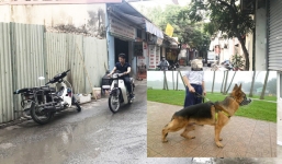 Chó bécgiê cắn chết người ở Hà Nội: Bị tấn công bất ngờ, nạn nhân ngã đập đầu xuống đất