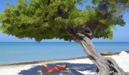 Động tác của Văn Quyết cuối trận đấu được dân mạng Việt liên tục chế ảnh