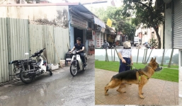Chủ chó becgie cắn chết người ở Hà Nội có thể bị phạt tù đến 5 năm?