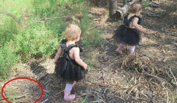 Xem lại ảnh chụp, bà mẹ rùng mình phát hiện 2 con gái nhỏ đã thoát chết thần kỳ trong gang tấc