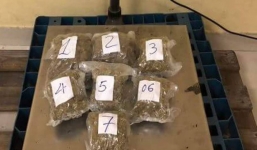 Phá đường dây vận chuyển 57 kg cần sa từ Mỹ về Việt Nam