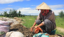 Hà Tĩnh: Thương lái mua ốc hương bị côn đồ chặn đường, thu tiền làm luật